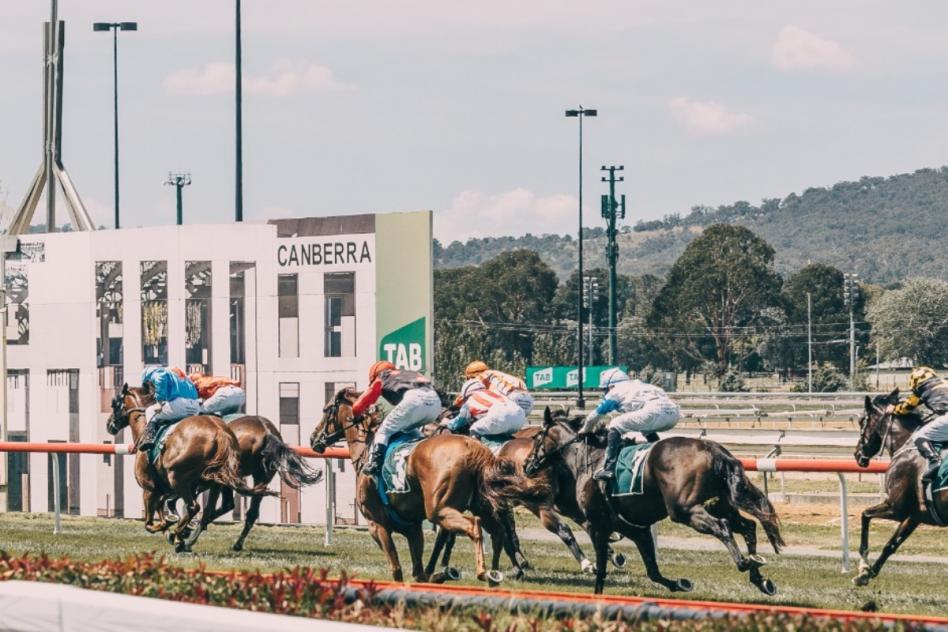 Canberra Horses to go the Extra Mile - Thoroughbred Park