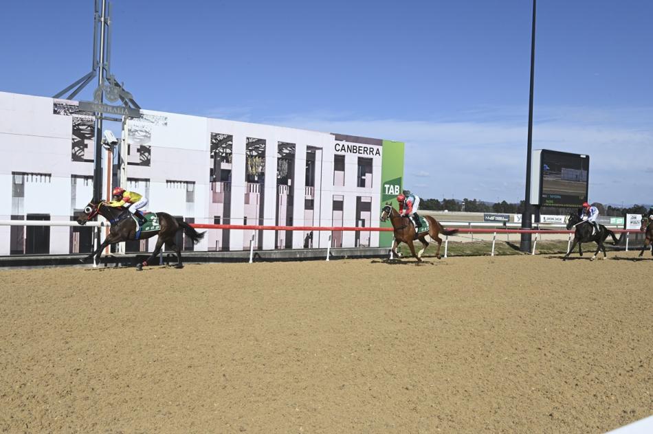 Cup hopefuls swarm to Acton Track Grand Final Day - Thoroughbred Park