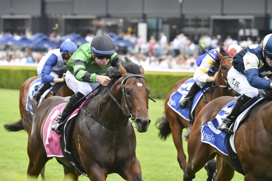 Beer Baron a Black Opal contender for Neil Osborne - Thoroughbred Park