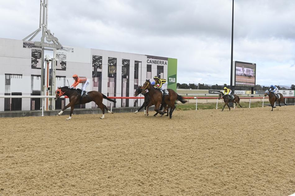 Racing and Sports Profit Pointers - 23 August 2024 - Thoroughbred Park